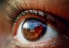 Makijaż dla brązowych oczu to temat nie dla każdego, ale niektóre panie zdecydowanie się ucieszą. Sprawdź jak zadbać o oprawę brązowego oka.